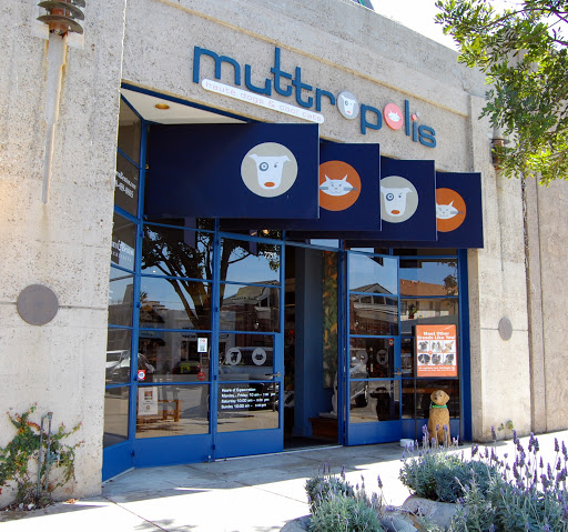 Pet Store «Muttropolis La Jolla», reviews and photos, 7755 Girard Ave, La Jolla, CA 92037, USA