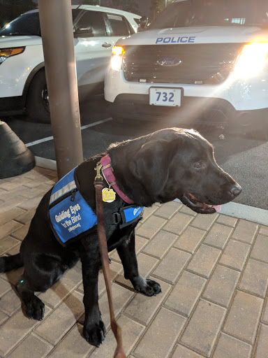 Shopping Mall «Golden Horseshoe Shopping Center», reviews and photos, 1088 Wilmot Rd, Scarsdale, NY 10583, USA