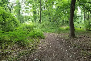 Trail View State Park image