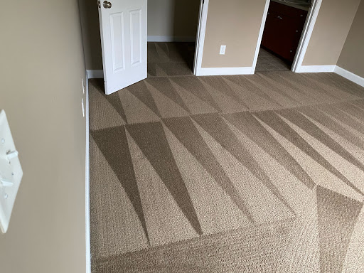Elite Carpet Cleaners