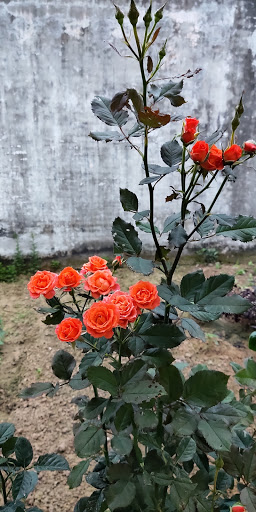 Cho Thuê Xe Du Lịch Quang Châu