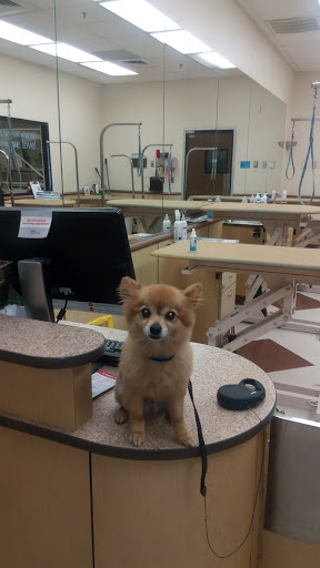 Pet Supply Store «PetSmart», reviews and photos, 5435 W TX-1604 Loop N, San Antonio, TX 78253, USA