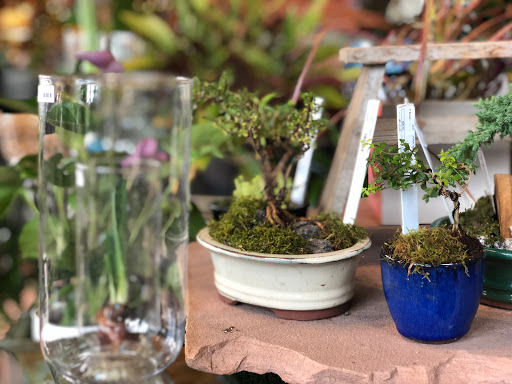 Gift Shop «Wild Flowers», reviews and photos, 1201 Madison St, Denver, CO 80206, USA