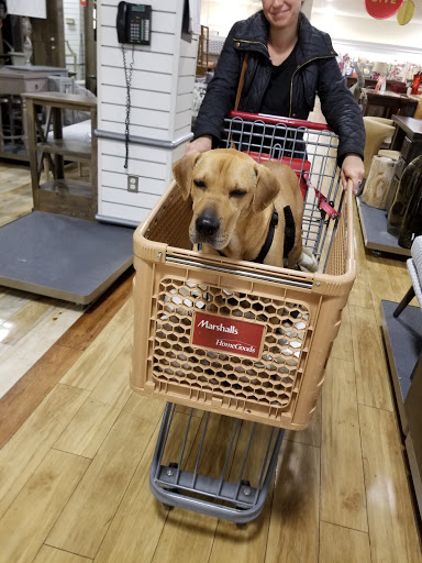 Department Store «HomeGoods», reviews and photos, 2200 NJ-66, Neptune City, NJ 07753, USA