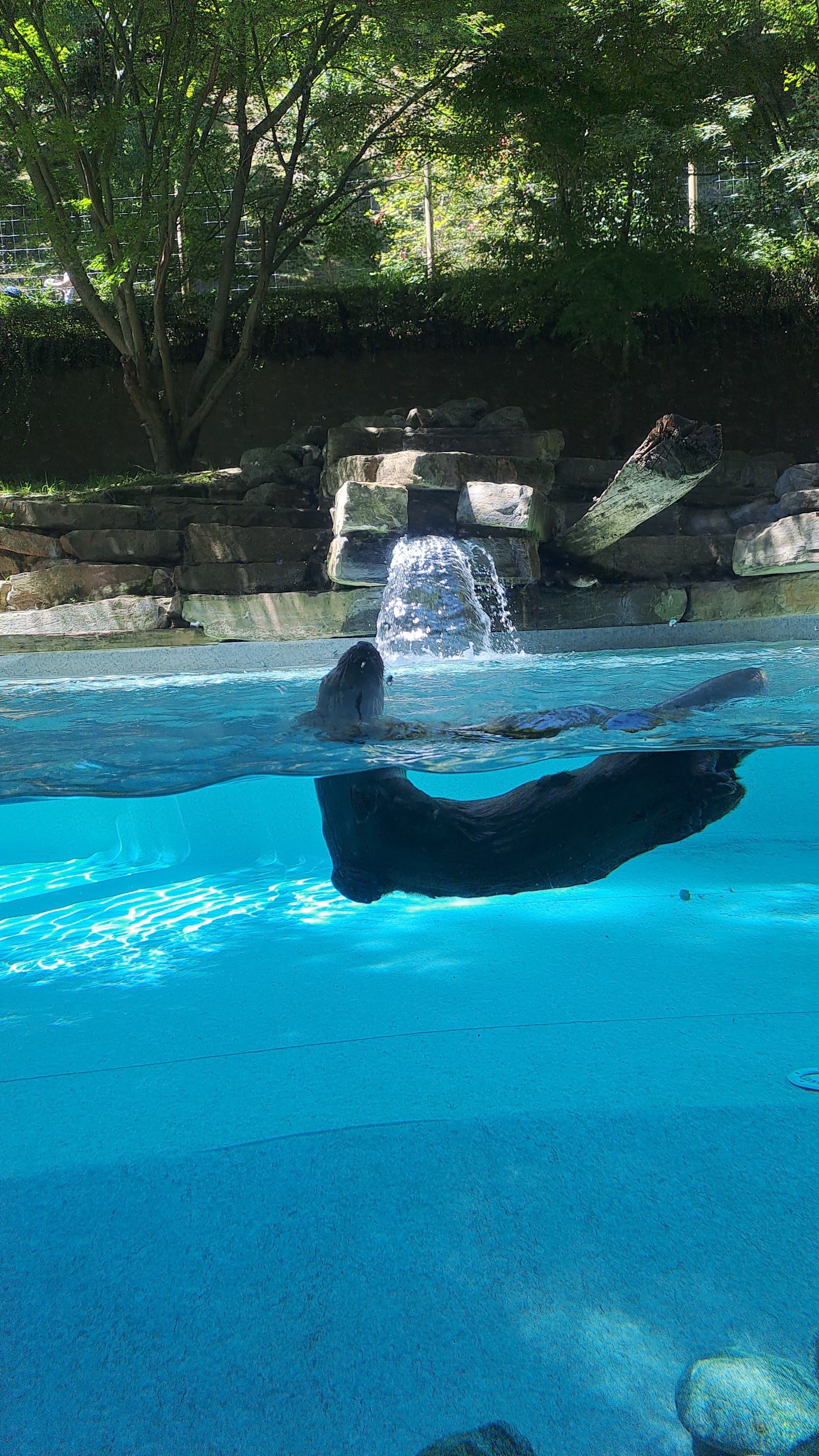 Photo n° 6 de l'avis de Mehdi. fait le 26/07/2023 à 20:11