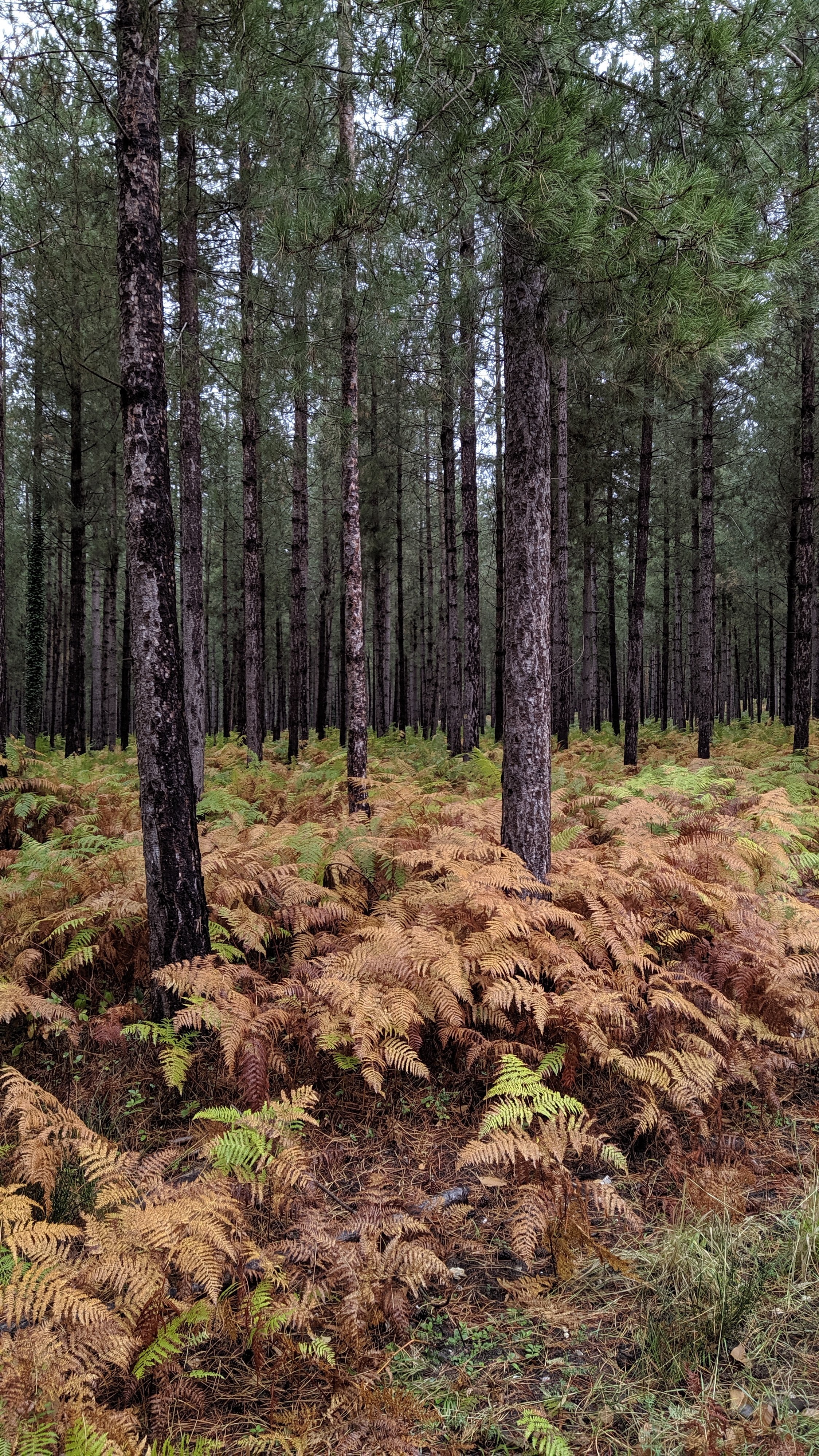 Photo n° 3 de l'avis de Frederic.e fait le 03/10/2019 à 18:30