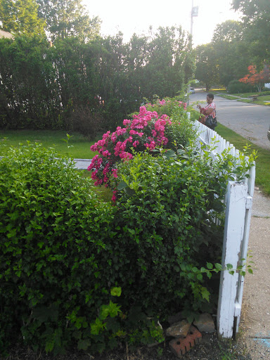 Clothing Store «Forever 21», reviews and photos, 5065 Main St, Trumbull, CT 06611, USA