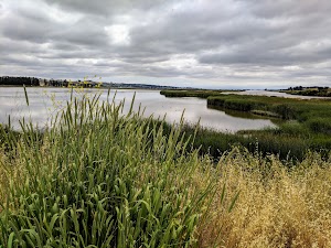 Shollenberger Park - photo 60