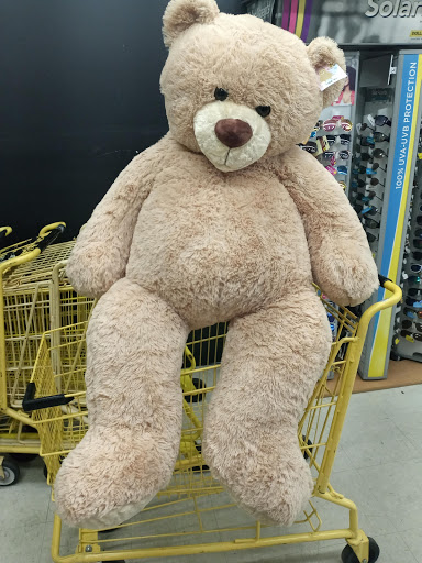 Discount Store «Dollar General», reviews and photos, 2138 E Bay Dr, Largo, FL 33771, USA