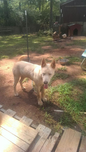 Pet Supply Store «Petco Animal Supplies», reviews and photos, 26501 Bouquet Canyon Rd, Saugus, CA 91350, USA