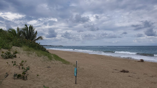 El Unico beach