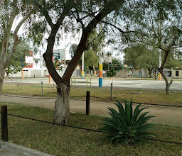 Público Park photo