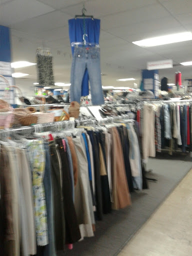 Thrift Store «St. Vincent de Paul Thrift Stores Orlando», reviews and photos, 770 S Orange Blossom Trail, Apopka, FL 32703, USA