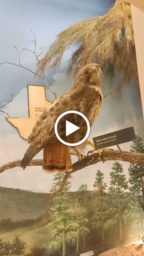 Museum «Texas Memorial Museum», reviews and photos, 2400 Trinity St, Austin, TX 78705, USA