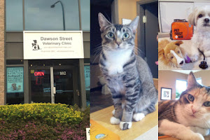 Dawson Street Veterinary Clinic