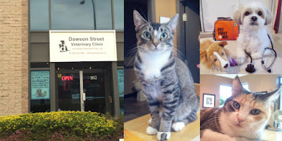 Dawson Street Veterinary Clinic