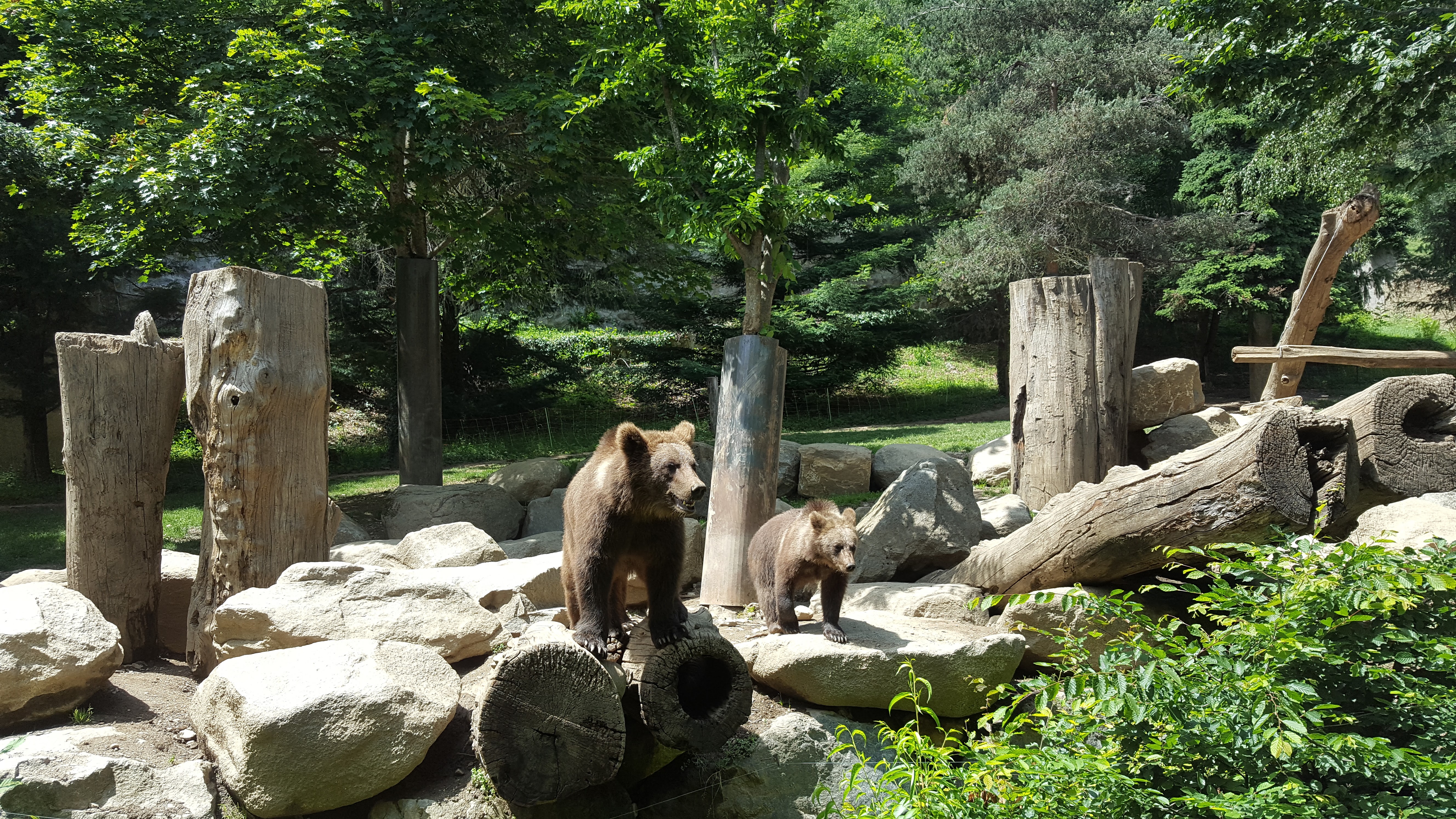 Photo n° 8 de l'avis de Sandra.o fait le 15/06/2017 à 07:55