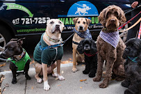 Wannagoout? Dog Walking & Pet Sitting - Photo 7 - Car repair in Boston, MA, Boston