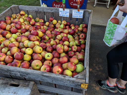 Gift Shop «Beech Spring Gift Shop», reviews and photos, 11600 Lee Hwy, Sperryville, VA 22740, USA