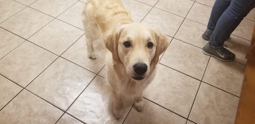 Pet Store «Animal Outfitters», reviews and photos, 661 S Military Rd, Fond du Lac, WI 54935, USA