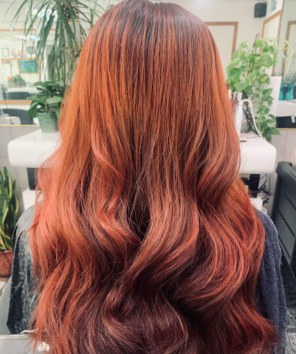 3025 Arden Way, Sacramento, CA 95825, USA