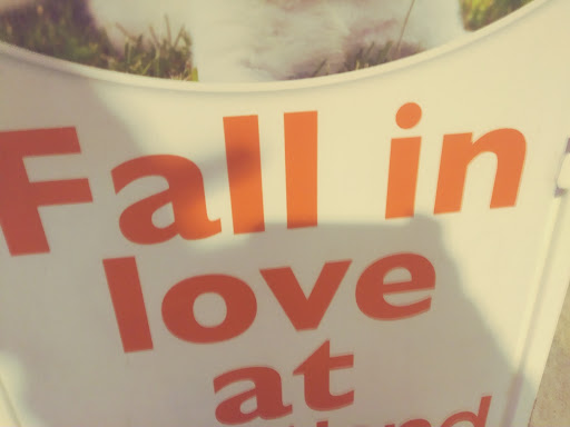 Pet Store «Petland», reviews and photos, 920 Hebron Rd, Heath, OH 43056, USA