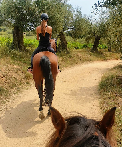 Magna Center en Calonge, Girona