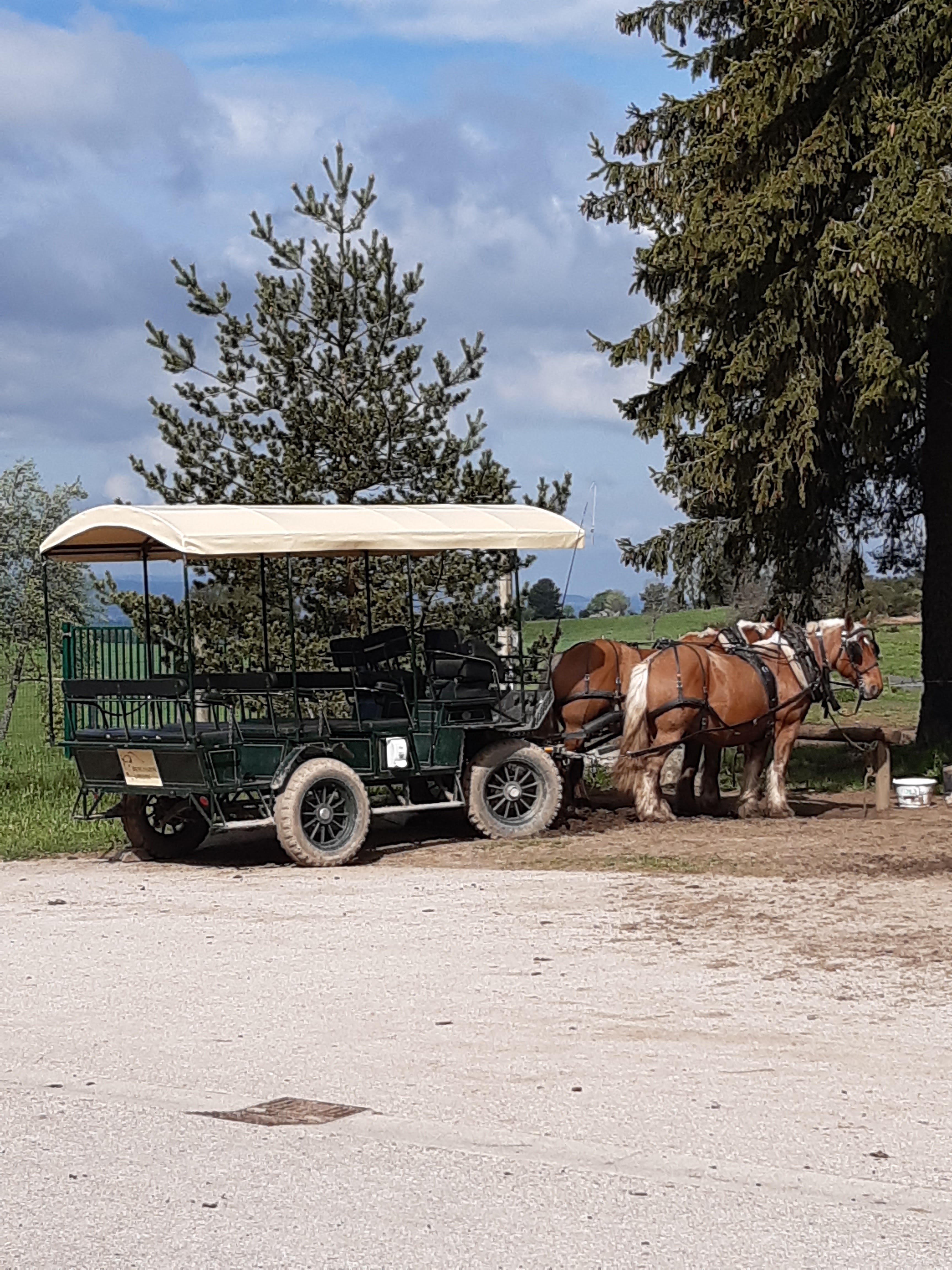 Photo n° 1 de l'avis de canu.a fait le 19/05/2023 à 10:22