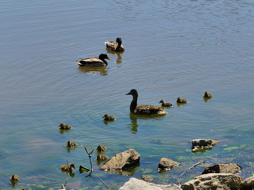 Park «Hunter Memorial Park», reviews and photos, 8830 Gurley Rd, Douglasville, GA 30134, USA