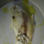 Photo n°4 de l'avis de Rosetta.a fait le 30/09/2018 à 21:48 sur le  Ristorante Chimera à Lipari