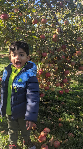 Winery «Apple Barn Orchard & Winery», reviews and photos, W6384 Sugar Creek Rd, Elkhorn, WI 53121, USA