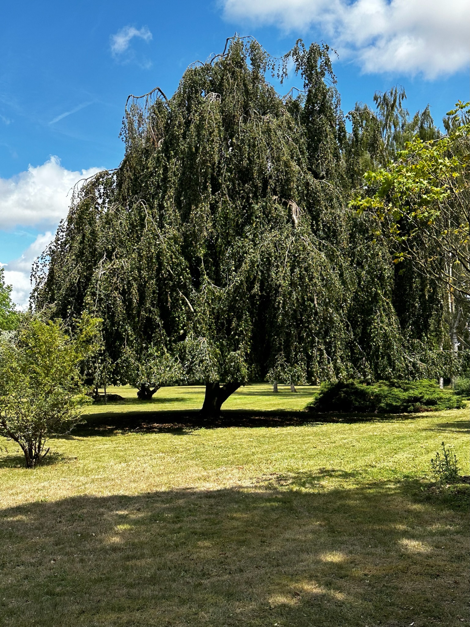 Photo n° 2 de l'avis de Sidney.o fait le 06/08/2023 à 13:44