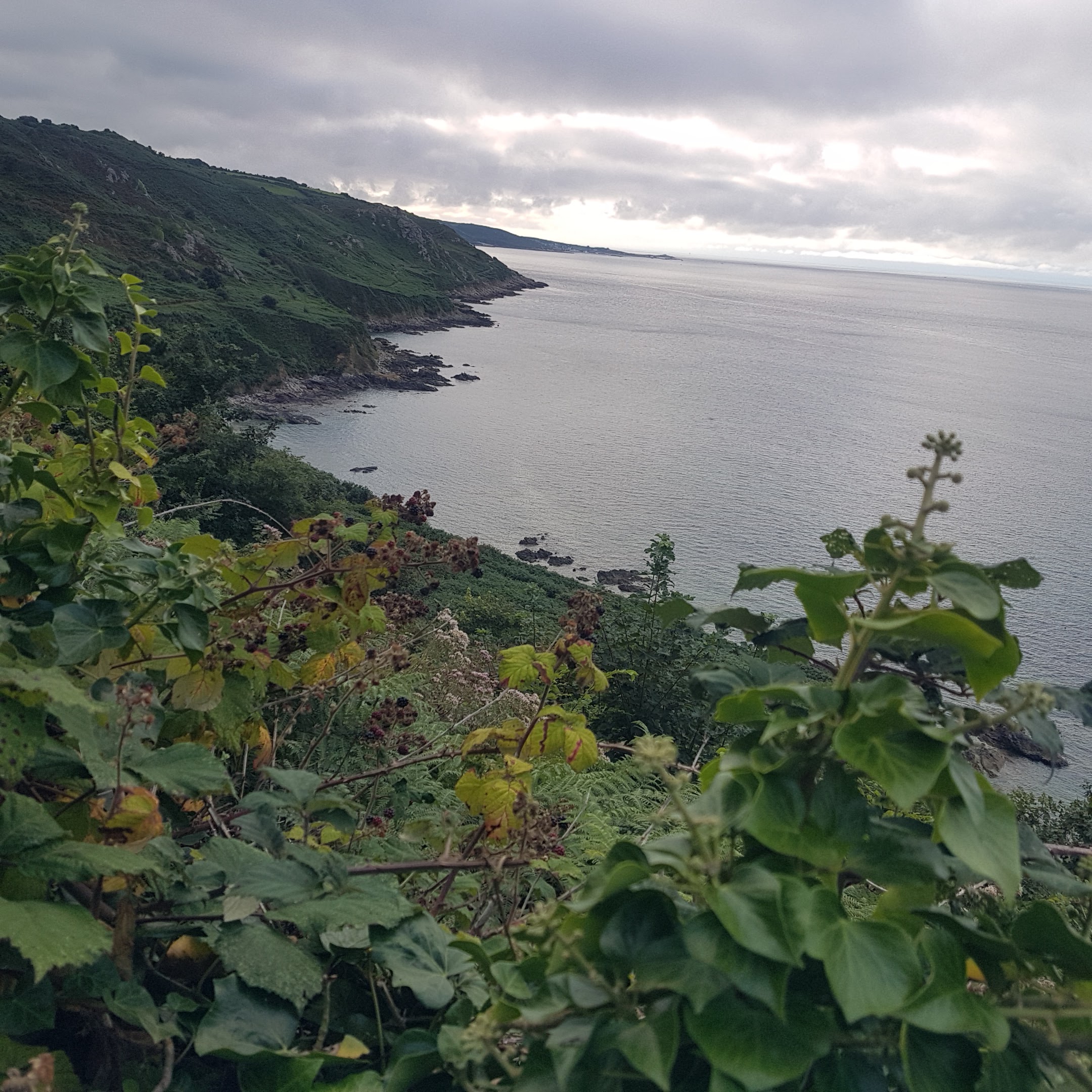 Photo n° 3 de l'avis de Jean.i fait le 22/08/2018 à 19:15