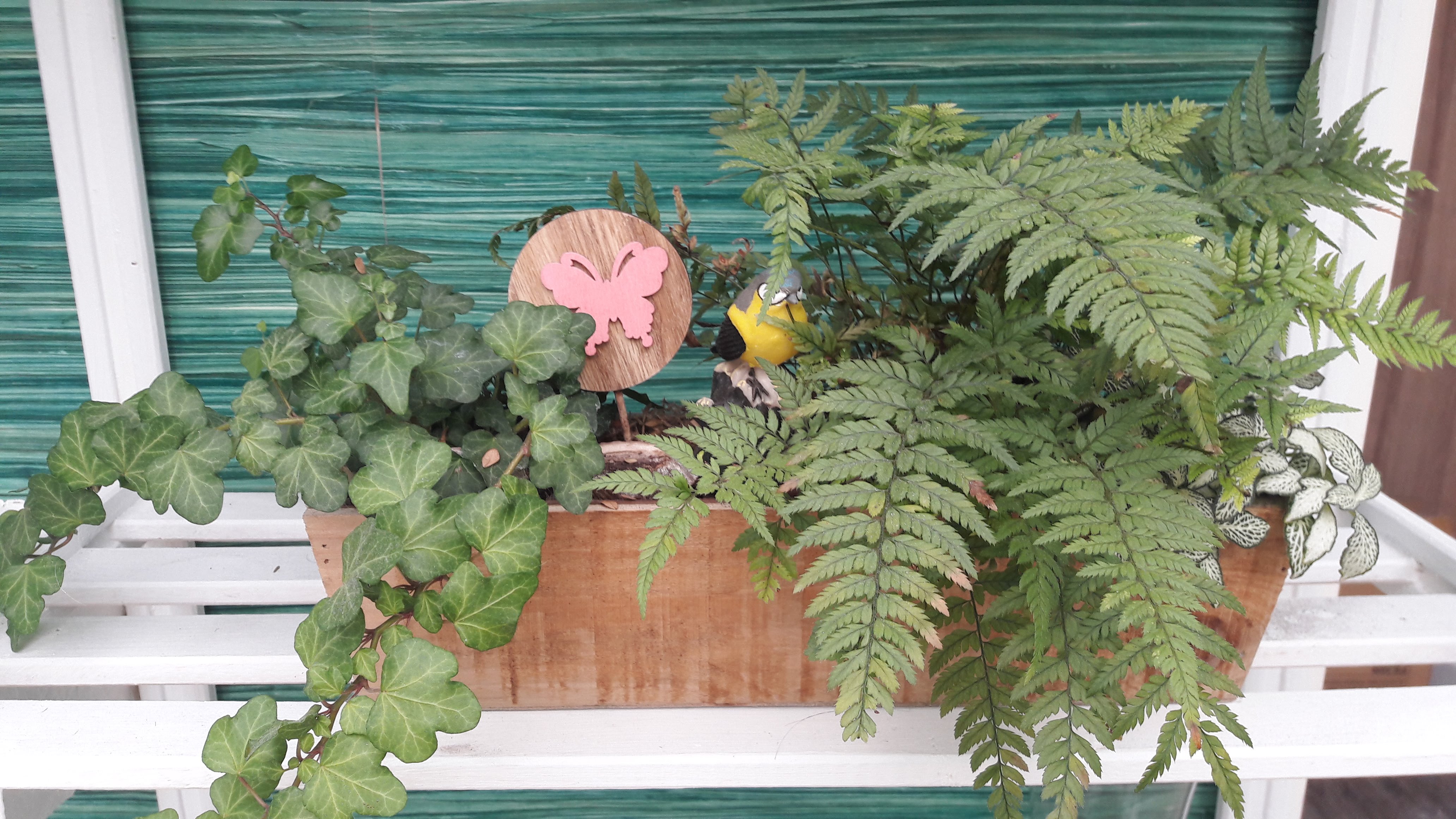 Photo n° 2 de l'avis de Javier.i fait le 07/05/2019 à 14:29