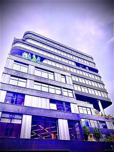 Art Gallery «Tanya Bonakdar Gallery», reviews and photos, 521 W 21st St #1, New York, NY 10011, USA