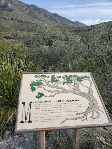 National Park «Guadalupe Mountains National Park», reviews and photos