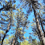 Photo n°2 de l'avis de Olga.n fait le 14/08/2022 à 11:54 sur le  Meridiana Family & Nature Hotel à Marina Romea