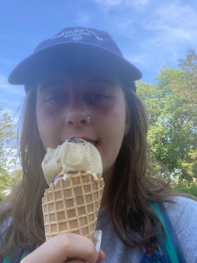 Ice Cream Shop «Mount Desert Island Ice Cream», reviews and photos, 7 Firefly Ln, Bar Harbor, ME 04609, USA