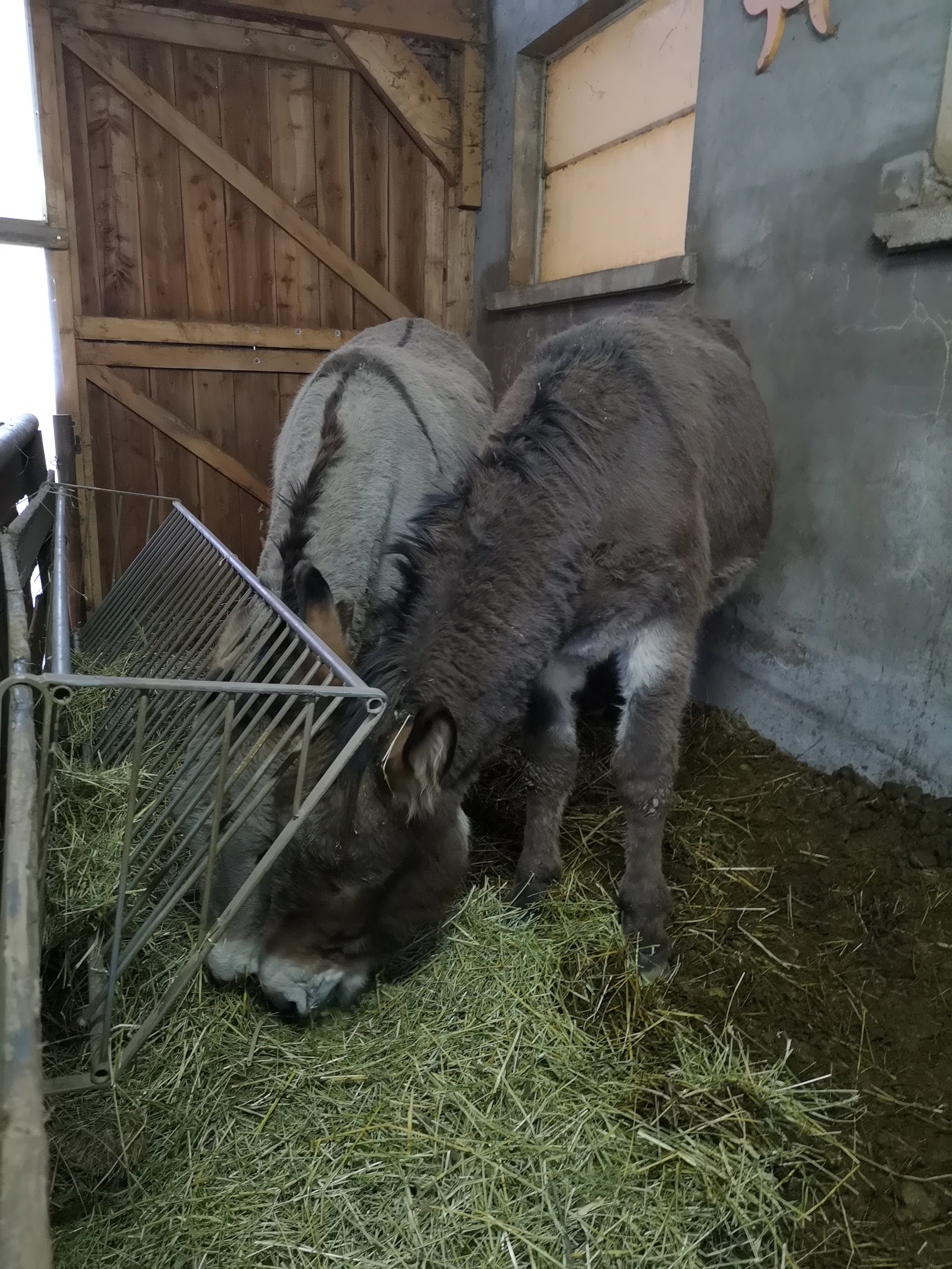 Photo n° 7 de l'avis de Joëlle.a fait le 22/02/2020 à 10:40