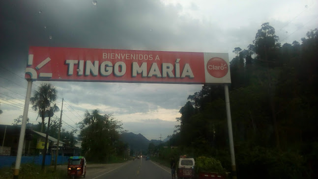 18A 1350, Tingo María 10131, Perú