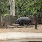 Photo n° 1 de l'avis de Aaron.i fait le 03/04/2024 à 20:00 pour Jardim Zoológico de Lisboa à Lisboa