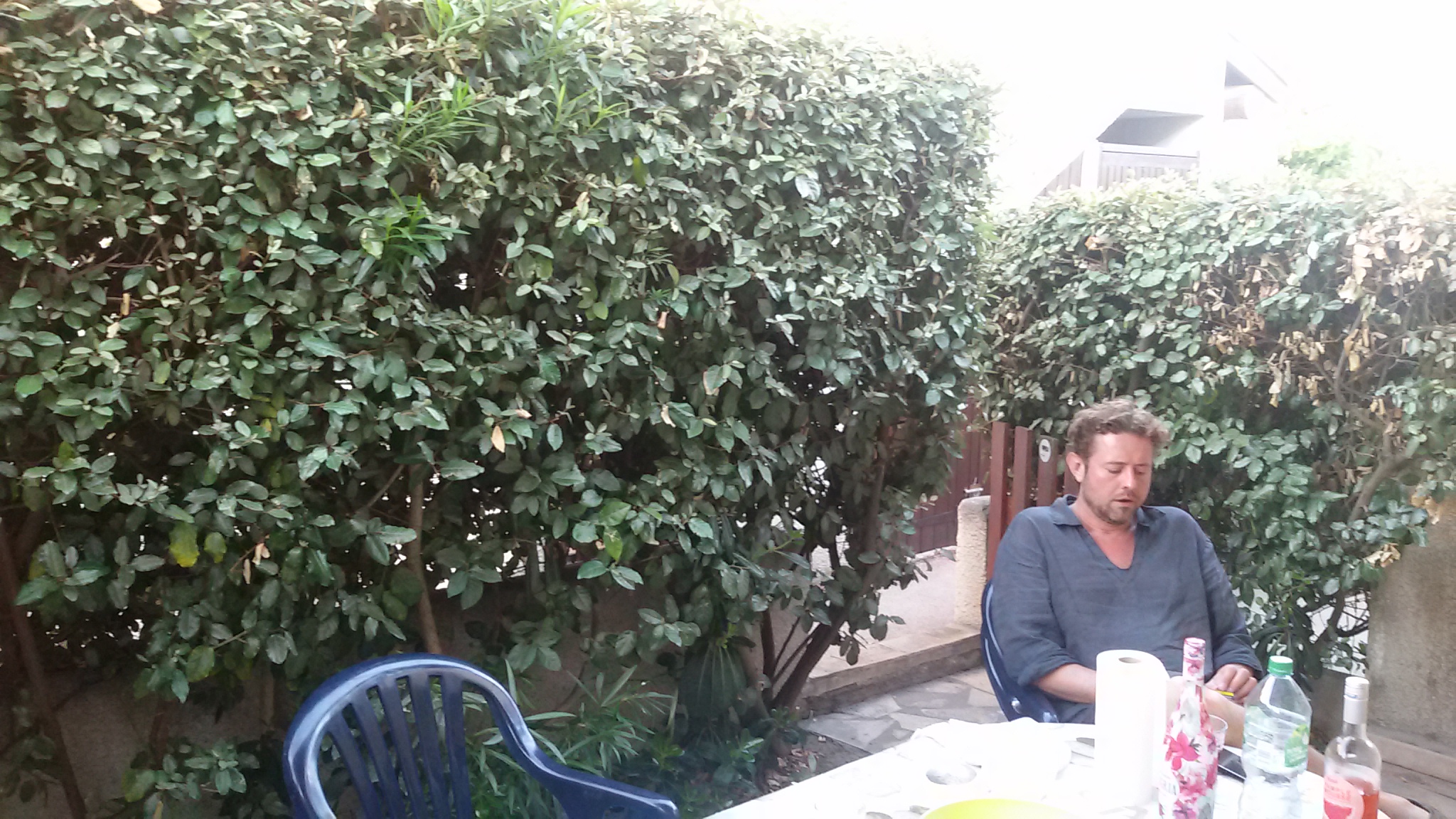 Photo n° 1 de l'avis de Jean.a fait le 16/08/2018 à 17:25