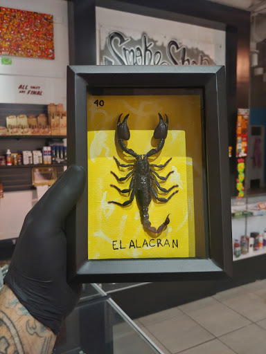 Explore stillbirth tattoo ideas, creative tattoo ideas in El Paso, available at Piercing polis