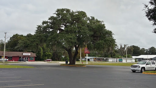 Grocery Store «Save-A-Lot», reviews and photos, 1036 E Duval St, Lake City, FL 32055, USA