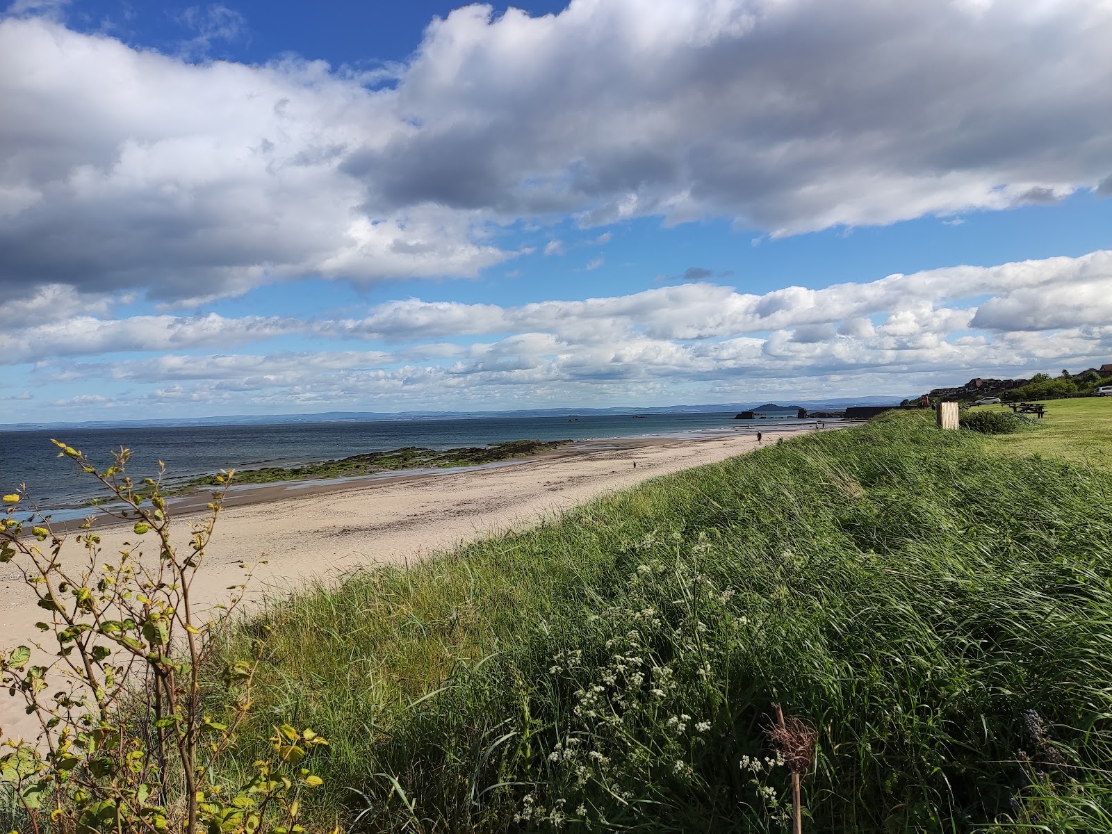 Valokuva Seafield Beachista. - hyvä lemmikkiystävällinen paikka lomalle