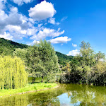 Photo n°3 de l'avis de Stefano.a fait le 26/08/2021 à 17:12 sur le  Lido del Segrino à Eupilio
