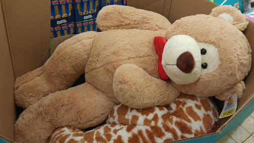 Supermarket «ALDI», reviews and photos, 7777 Seminole Blvd, Seminole, FL 33772, USA