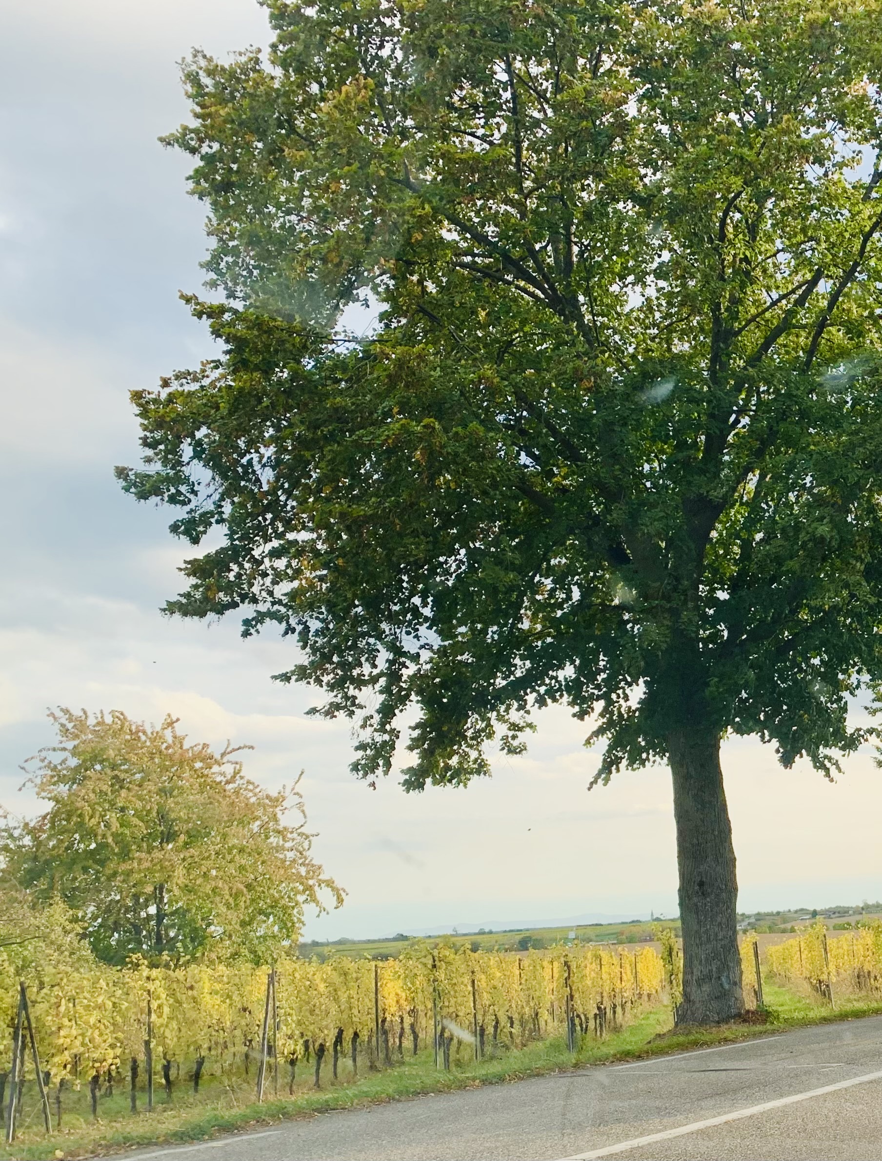 Photo n° 1 de l'avis de Franziska.a fait le 20/10/2021 à 14:14