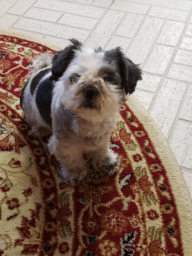 Pet Store «Liberty Agway Pet Center», reviews and photos, 11 Bon Jovi Ln, Liberty, NY 12754, USA