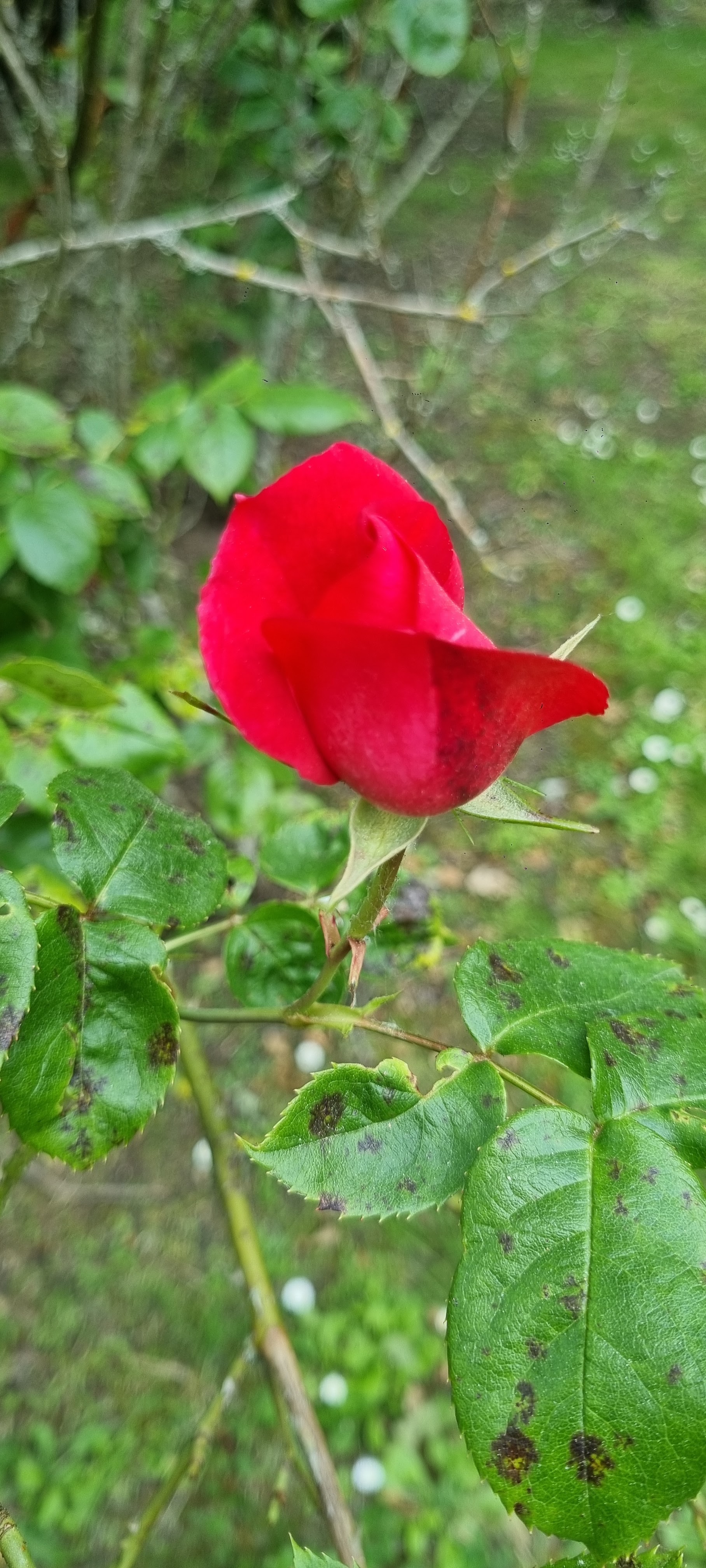 Photo n° 4 de l'avis de Lionel.a fait le 21/05/2023 à 19:59